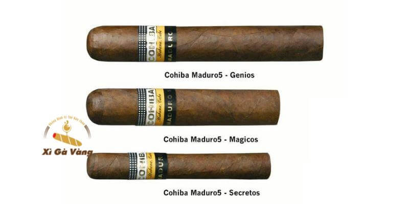 Xì gà Cohiba chính hãng giá rẻ trên thị trường